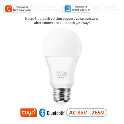 Smart LED Light Bulb